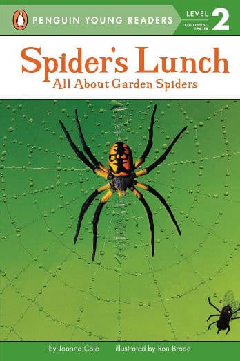 Spider's Lunch: All About Garden Spiders
