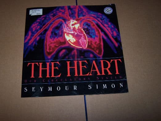 The Heart