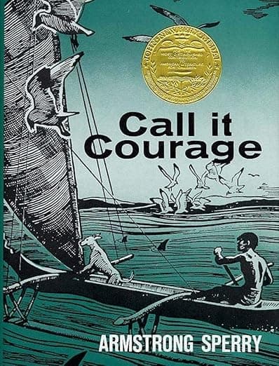 Call It Courage