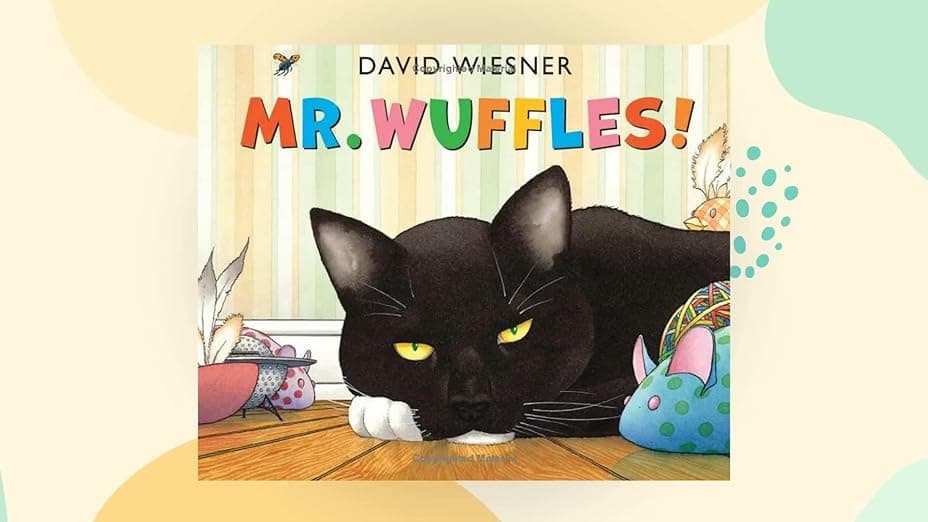 Mr Wuffles!