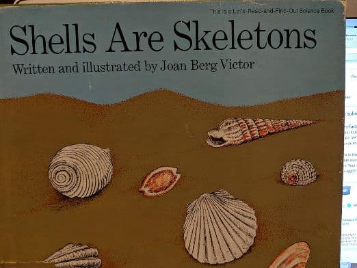 Shells Are Skeletons