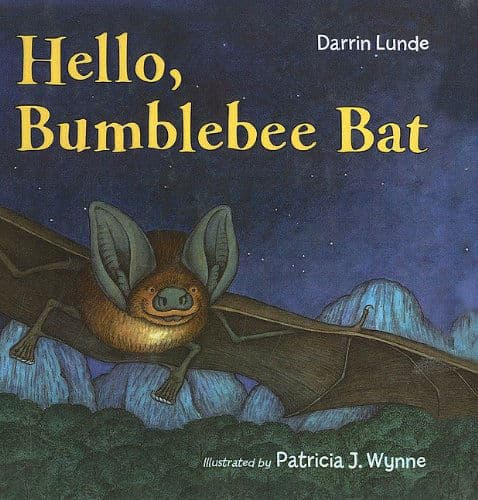 Hello, Bumblebee Bat