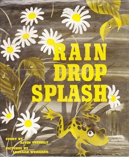 Rain Drop Splash