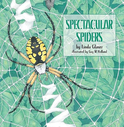 Spectacular Spiders