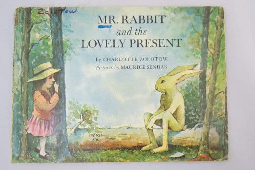 Mr Rabbit and the Lovely Present Caldecott Honor Book
