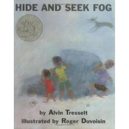 Hide and Seek Fog