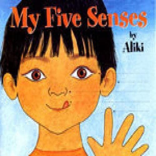 my-five-senses