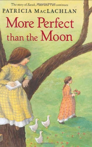 More Perfect than the Moon