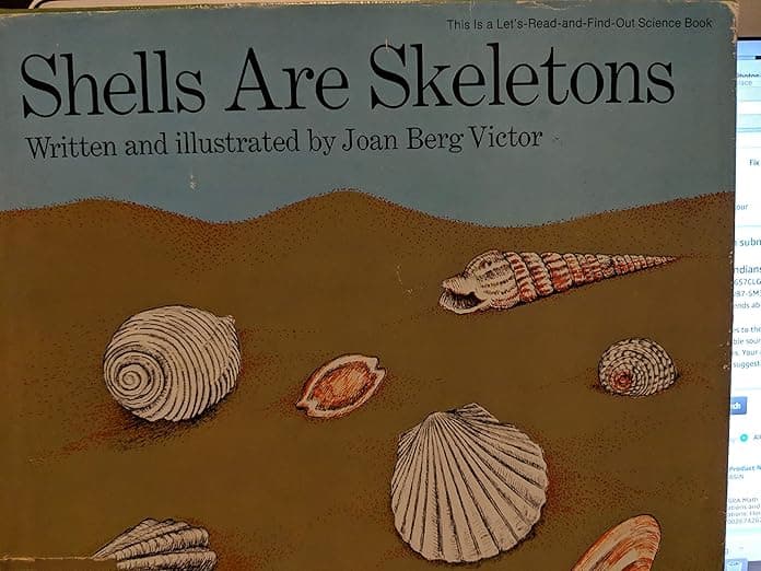 Shells Are Skeletons
